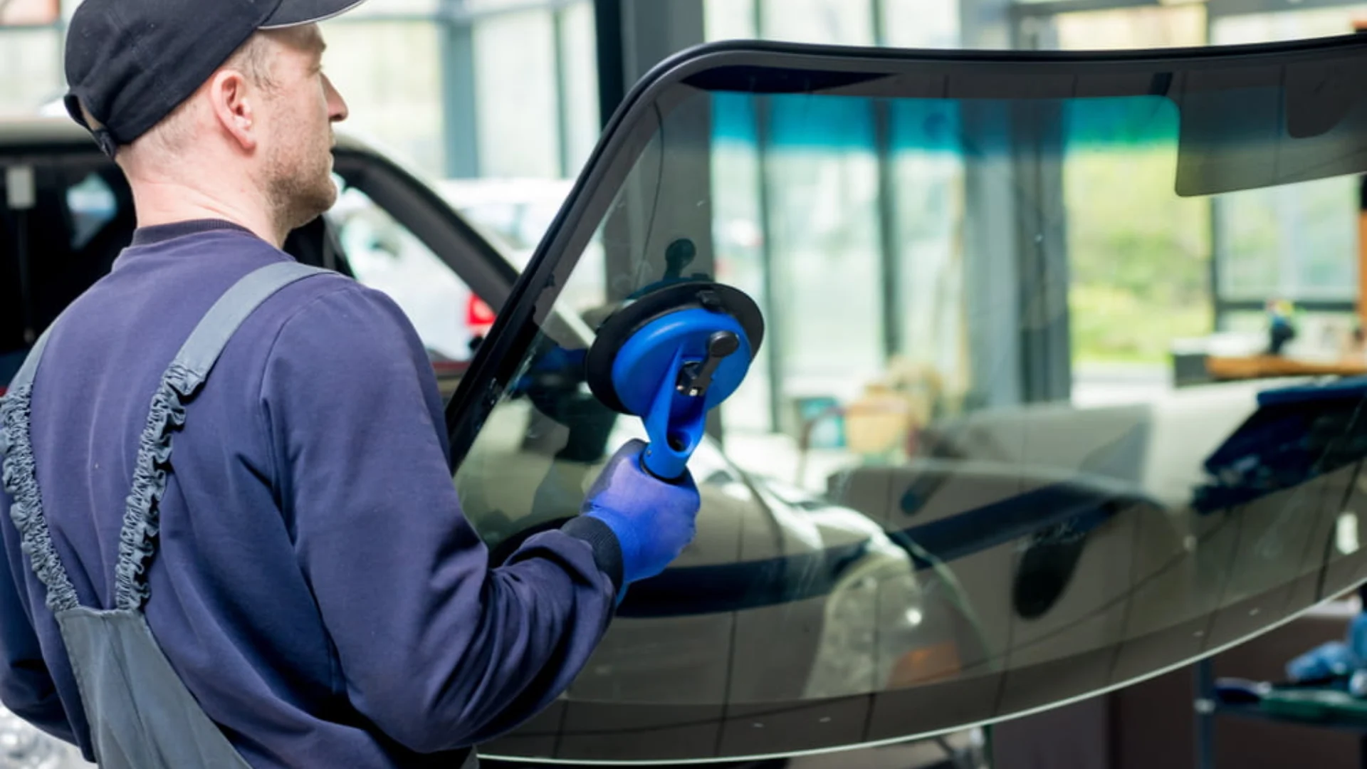 Back glass replacement, and (3)